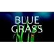BLUE GRASS